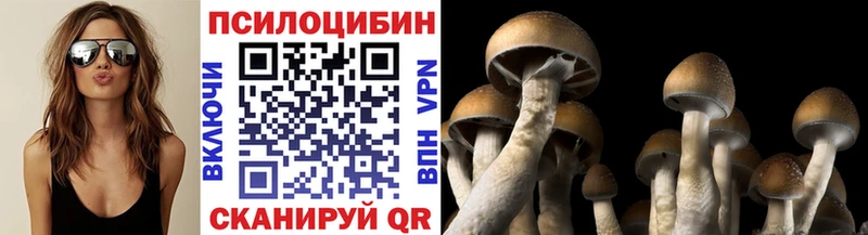 нарко площадка официальный сайт  Судогда  Галлюциногенные грибы MAGIC MUSHROOMS 