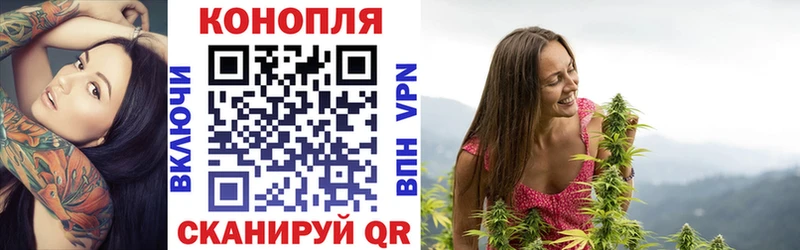 где найти наркотики  Судогда  Шишки марихуана семена 